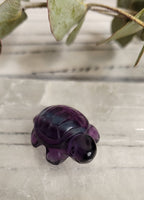 Fluorite mini turtle